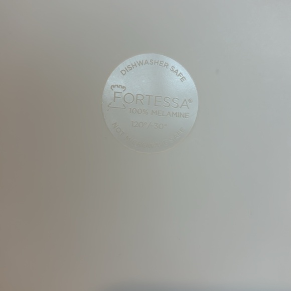 Fortessa Sandia Melamine Dinner Plates | set of 6 (2) - Picture 3 of 3